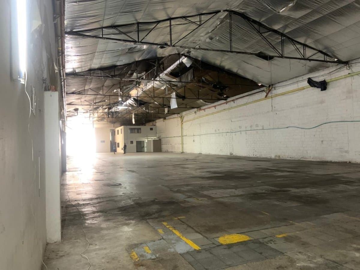 Bodega - Foto 7