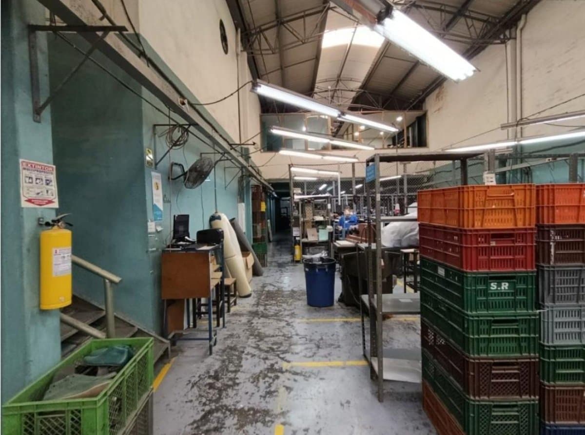 Bodega - Foto 6