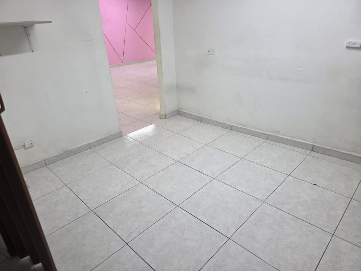 Bodega - Foto 5