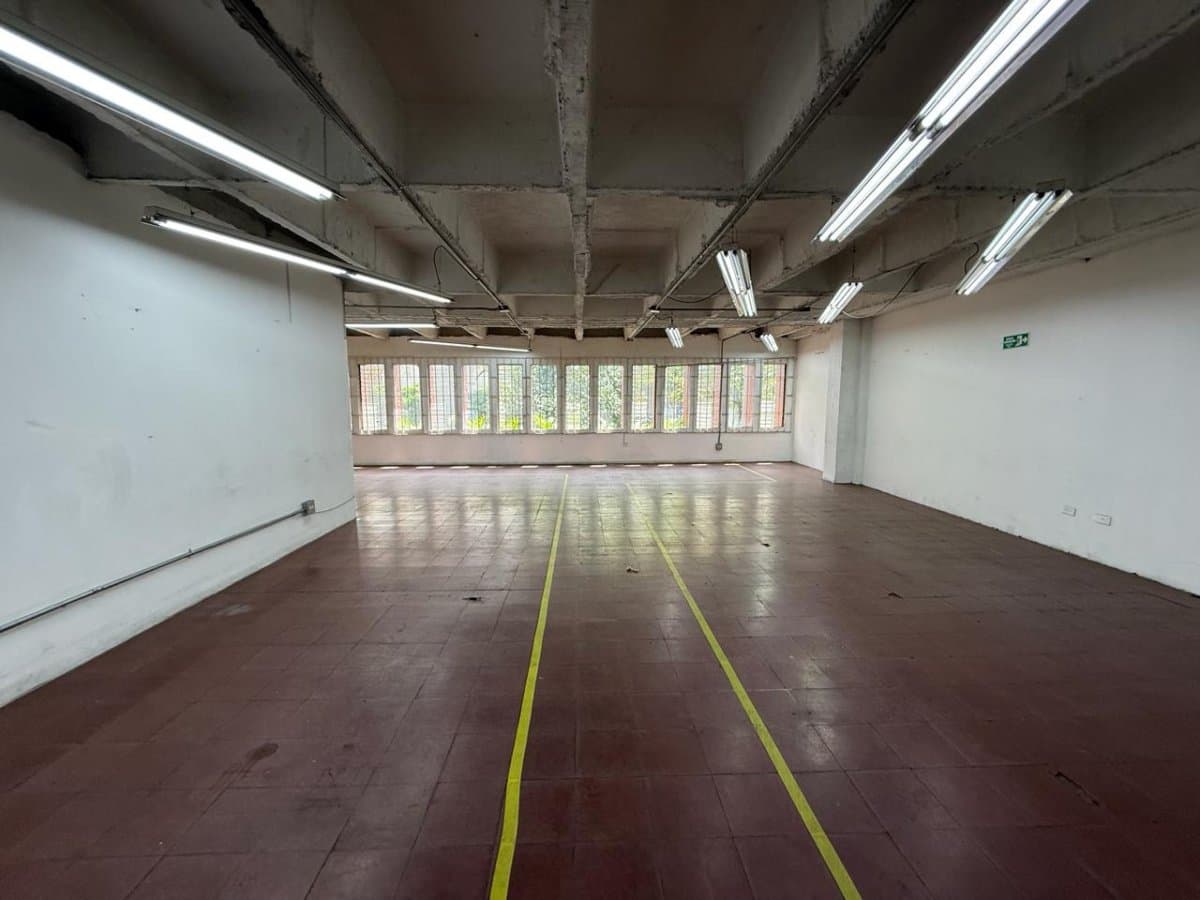 Bodega - Foto 2