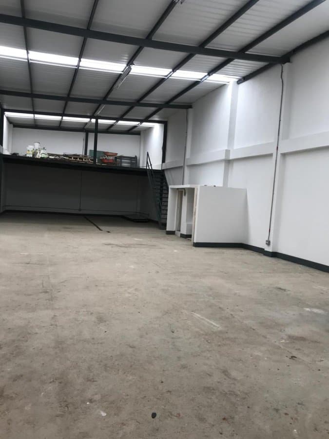Bodega - Foto 6