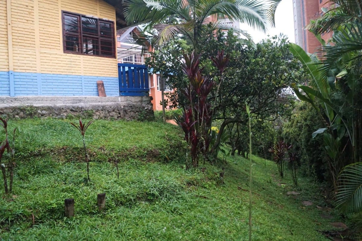 Lote - Foto 19