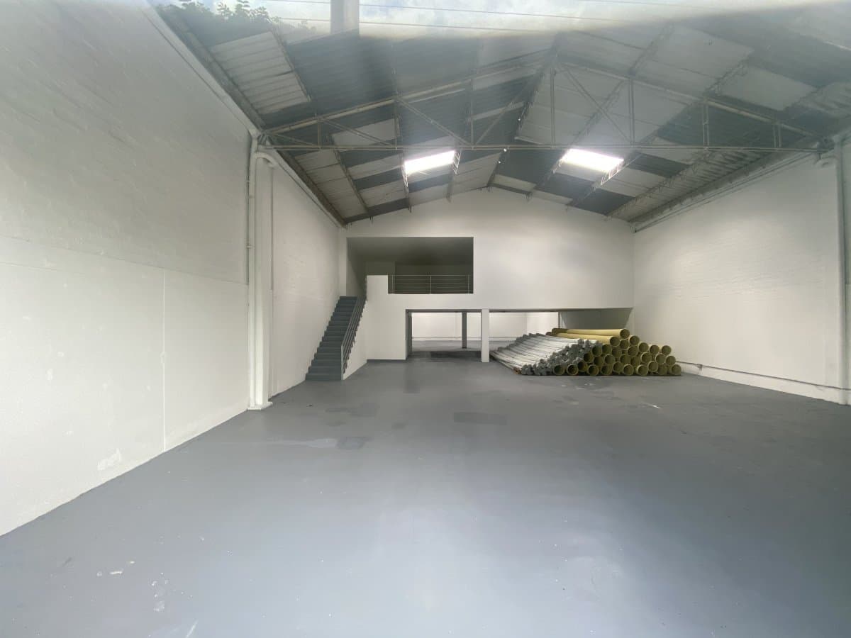 Bodega - Foto 3