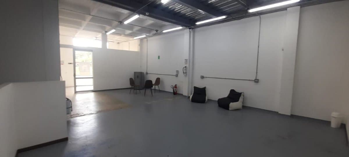 Bodega - Foto 14