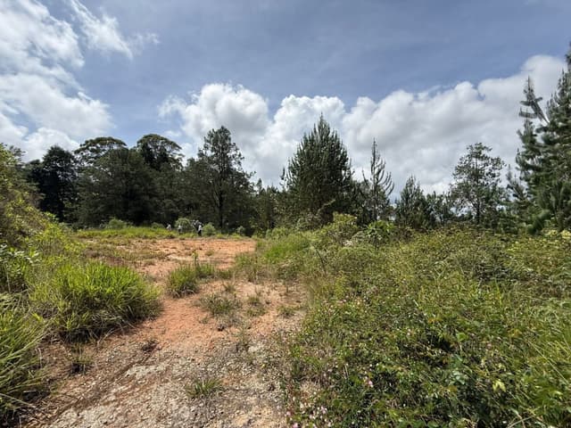 Lote en Autop Med-Bog