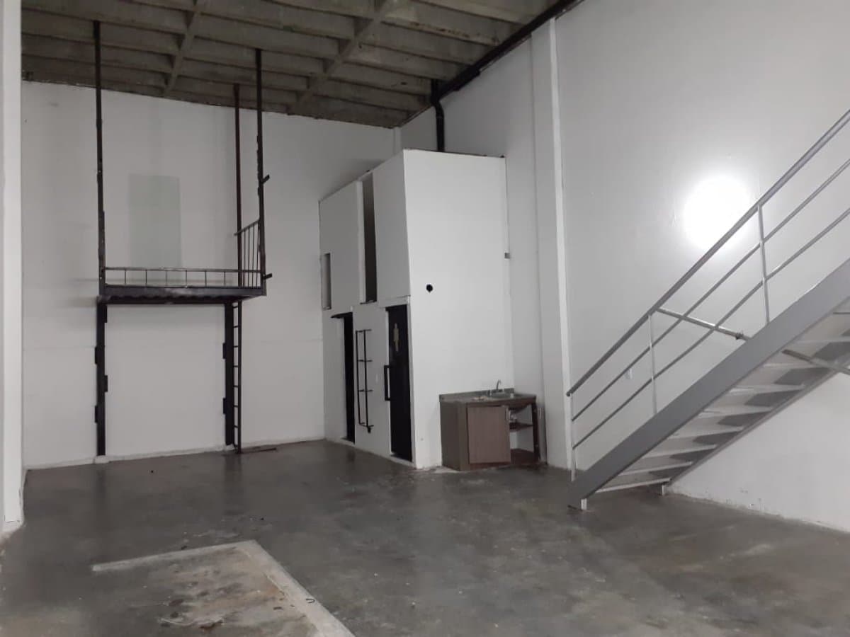 Bodega - Foto 4