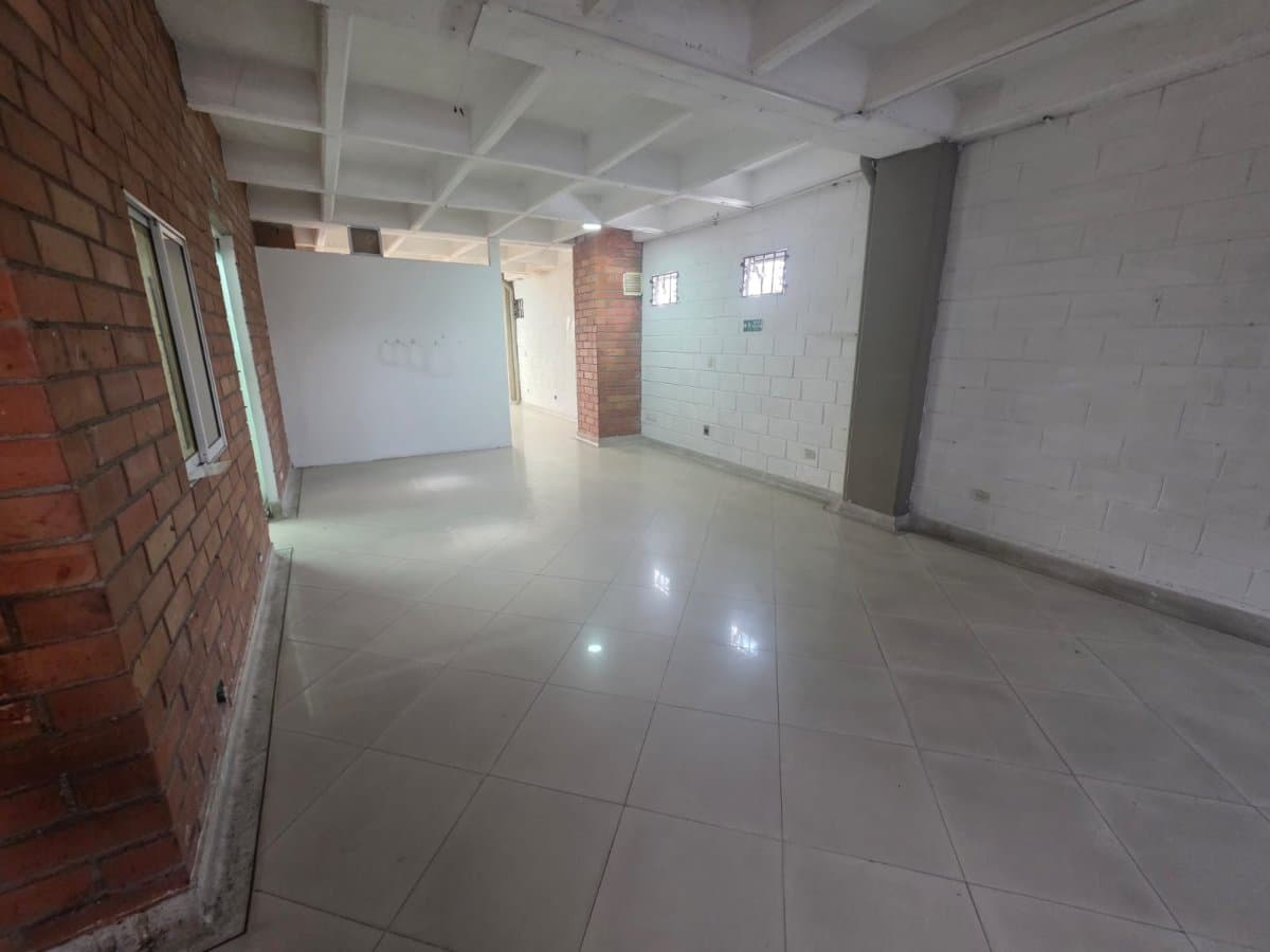 Bodega - Foto 11