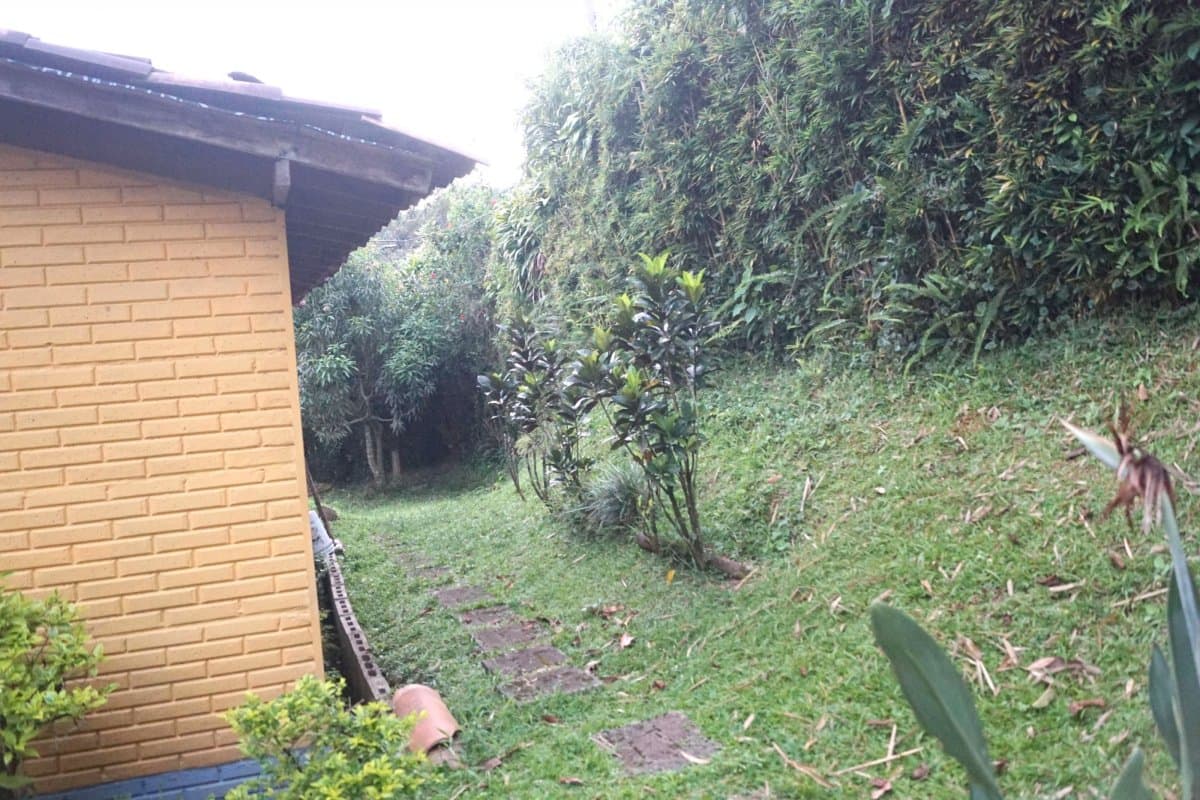 Lote - Foto 2