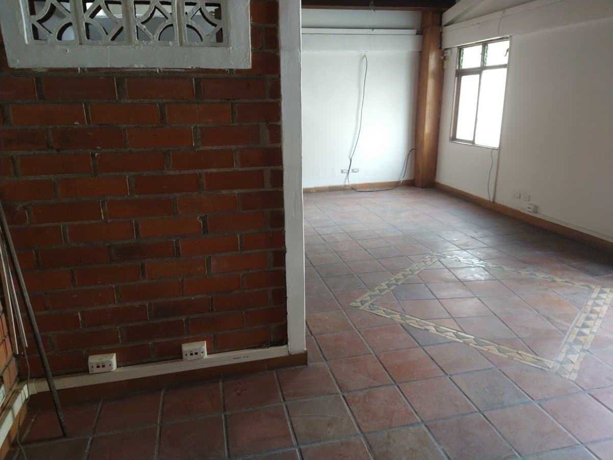 Bodega - Foto 13