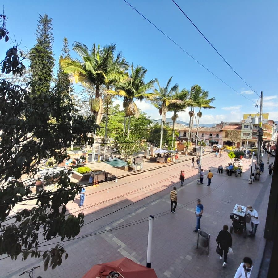 Local - Foto 4