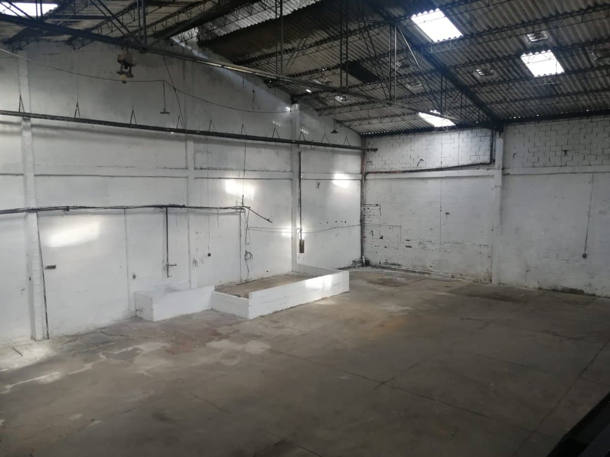Bodega - Foto 5