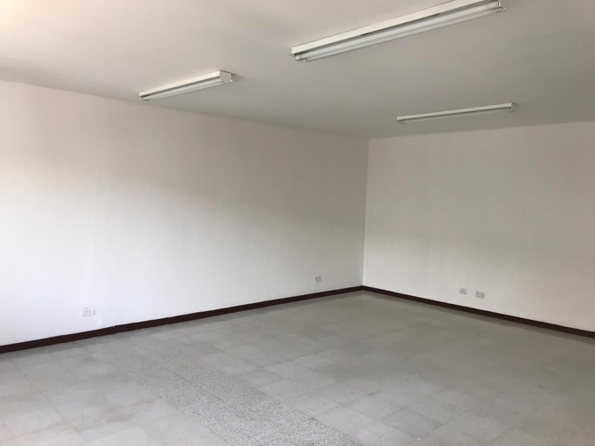 Bodega - Foto 2