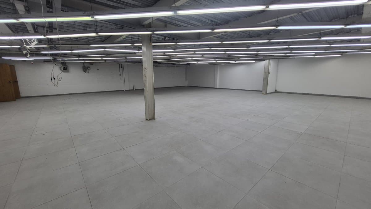 Bodega - Foto 10