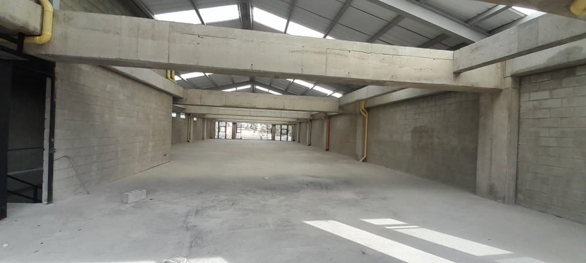 Bodega - Foto 2