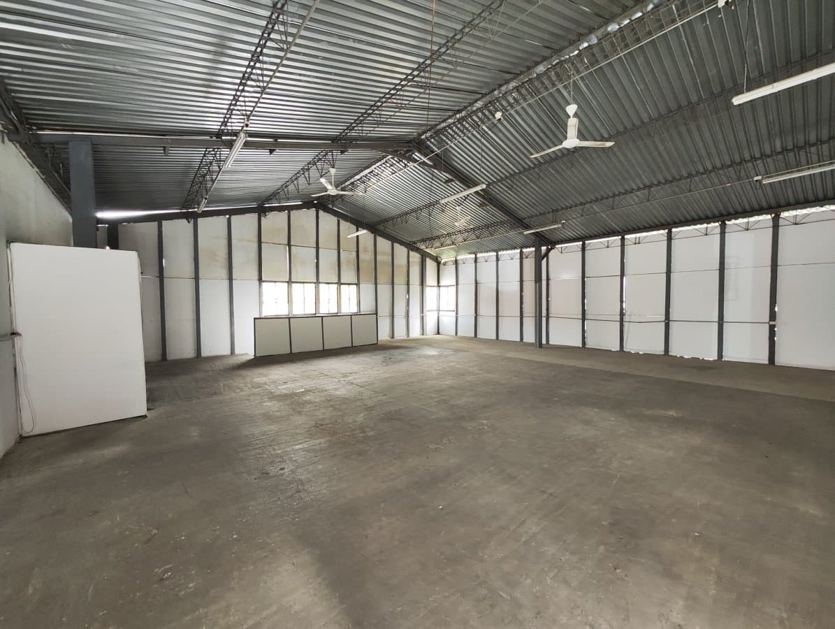 Bodega - Foto 5