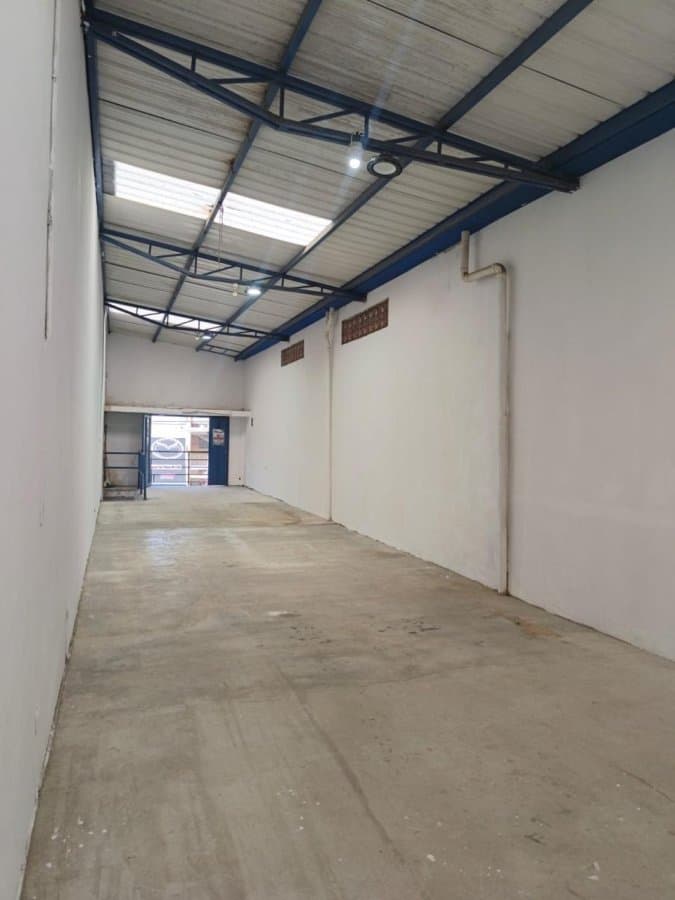 Bodega - Foto 4