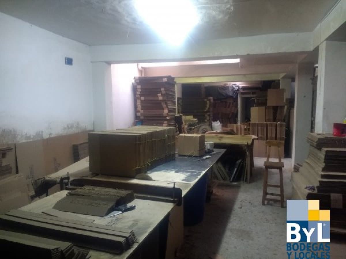 Bodega - Foto 4