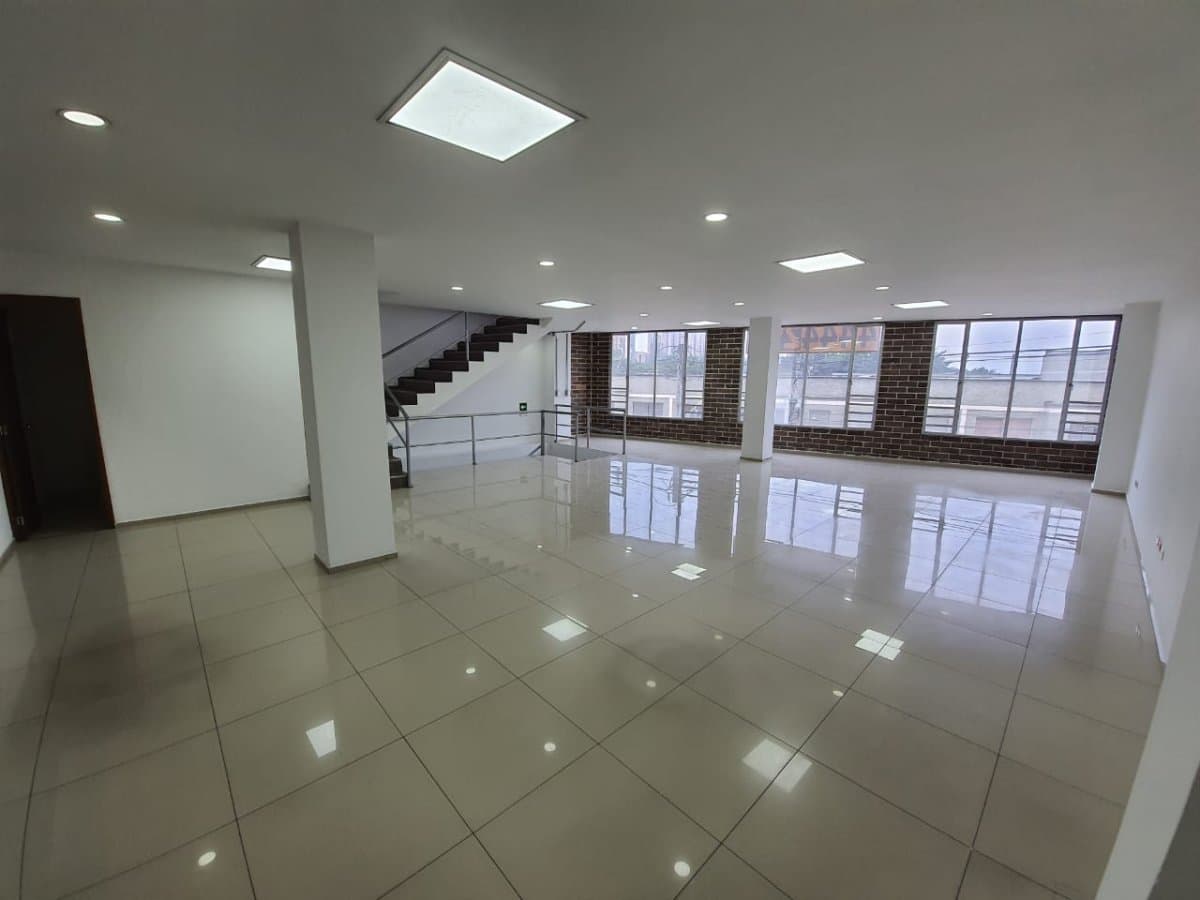 Bodega - Foto 12