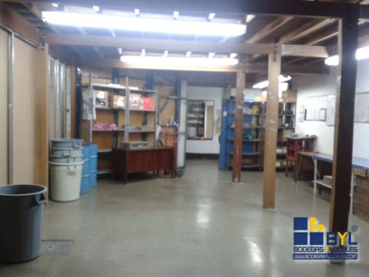 Bodega - Foto 12