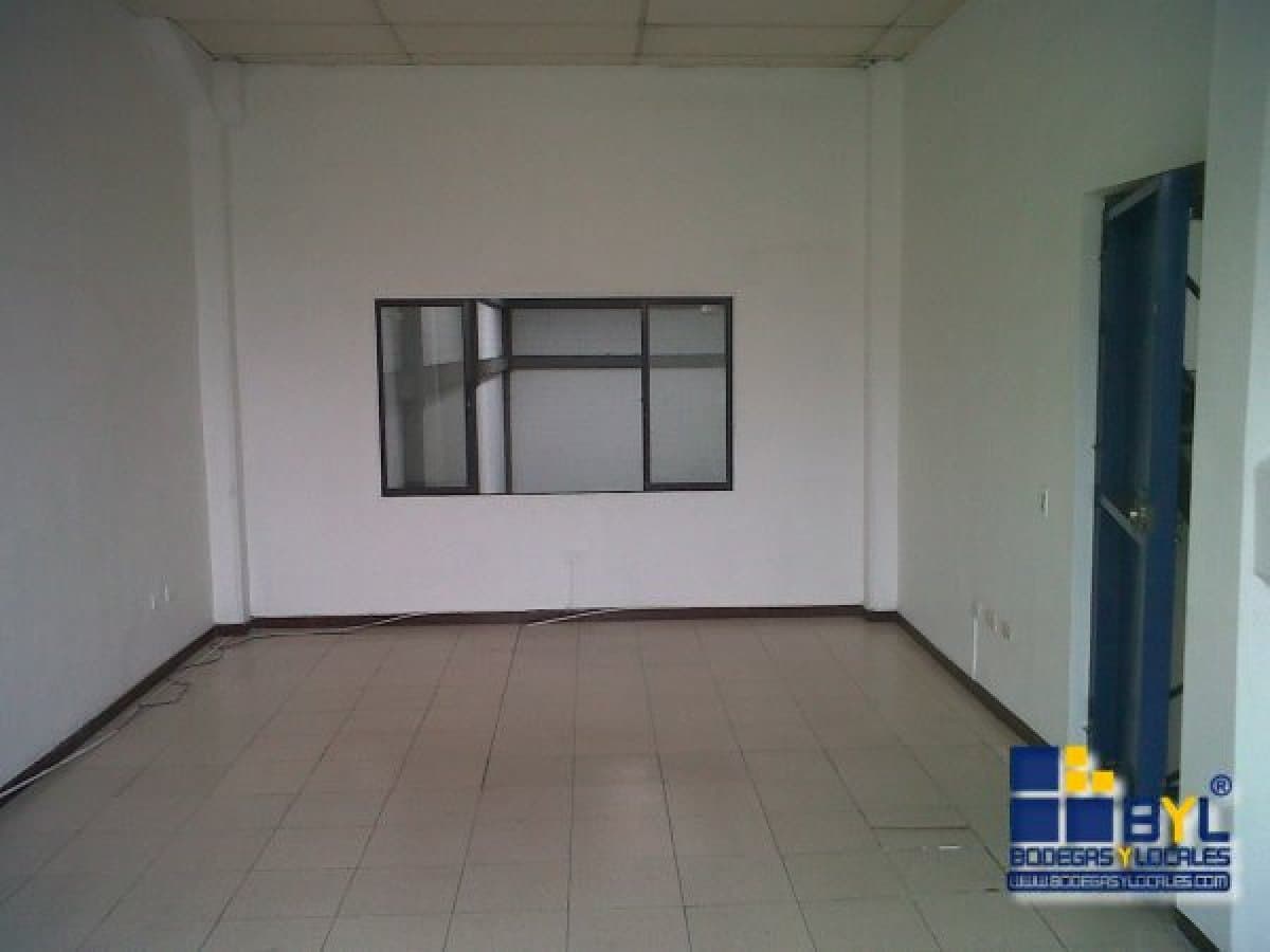 Bodega - Foto 5