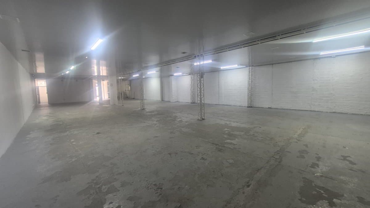 Bodega - Foto 4