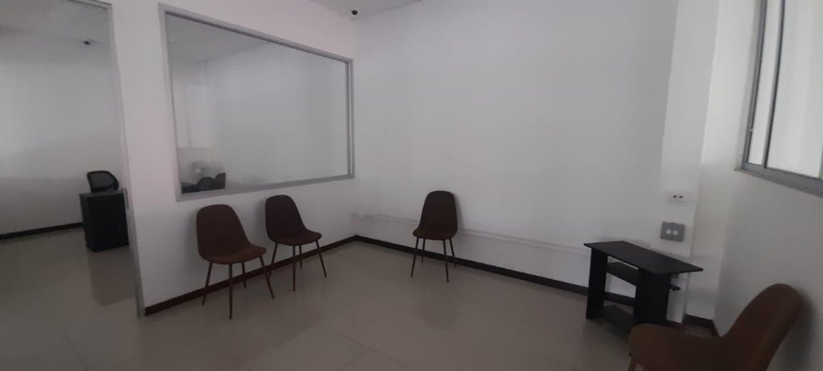 Bodega - Foto 23