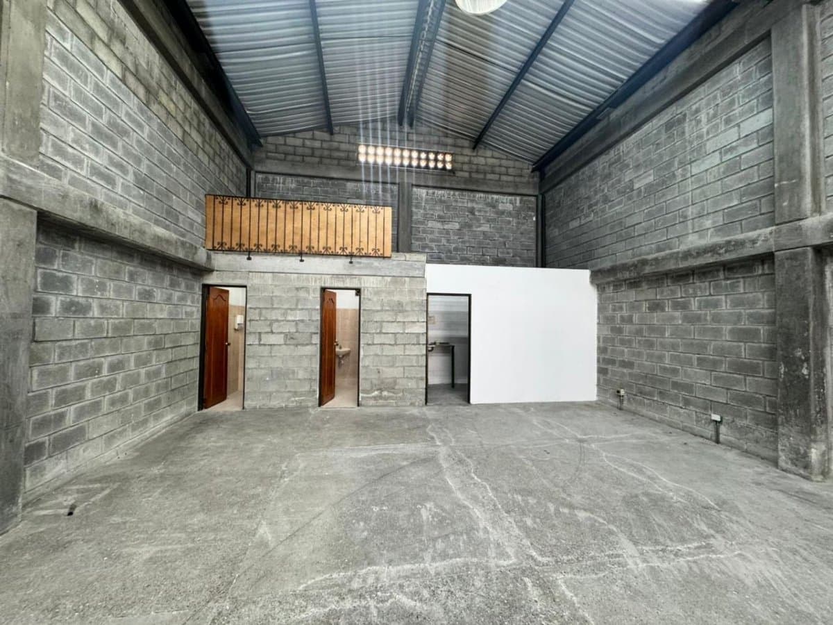 Bodega - Foto 5
