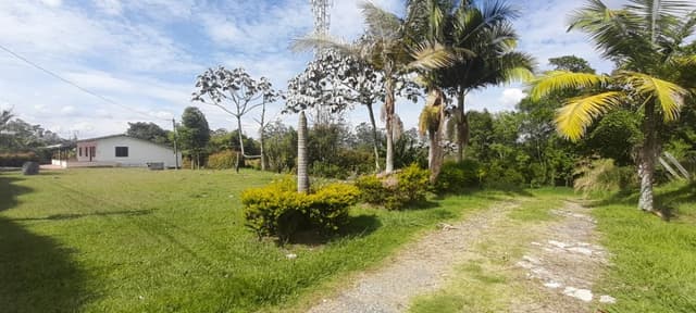 Local en Llano Grande