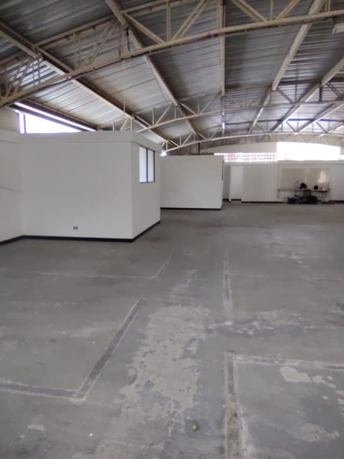 Bodega - Foto 4