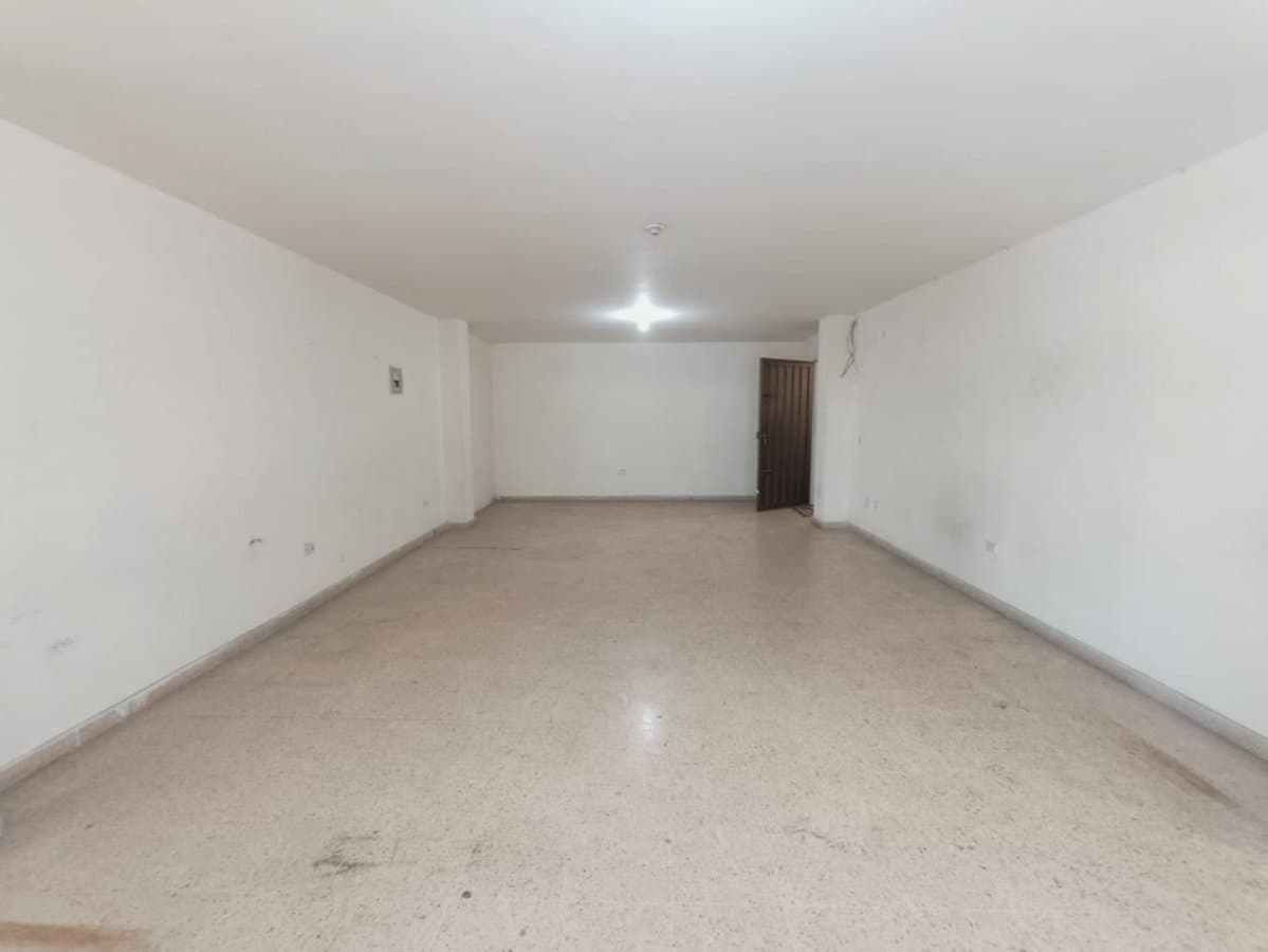 Bodega - Foto 2