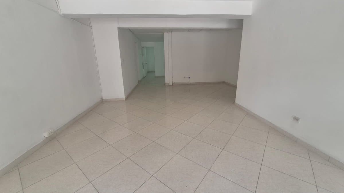 Bodega - Foto 4
