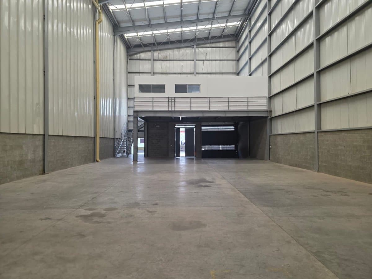 Bodega - Foto 15