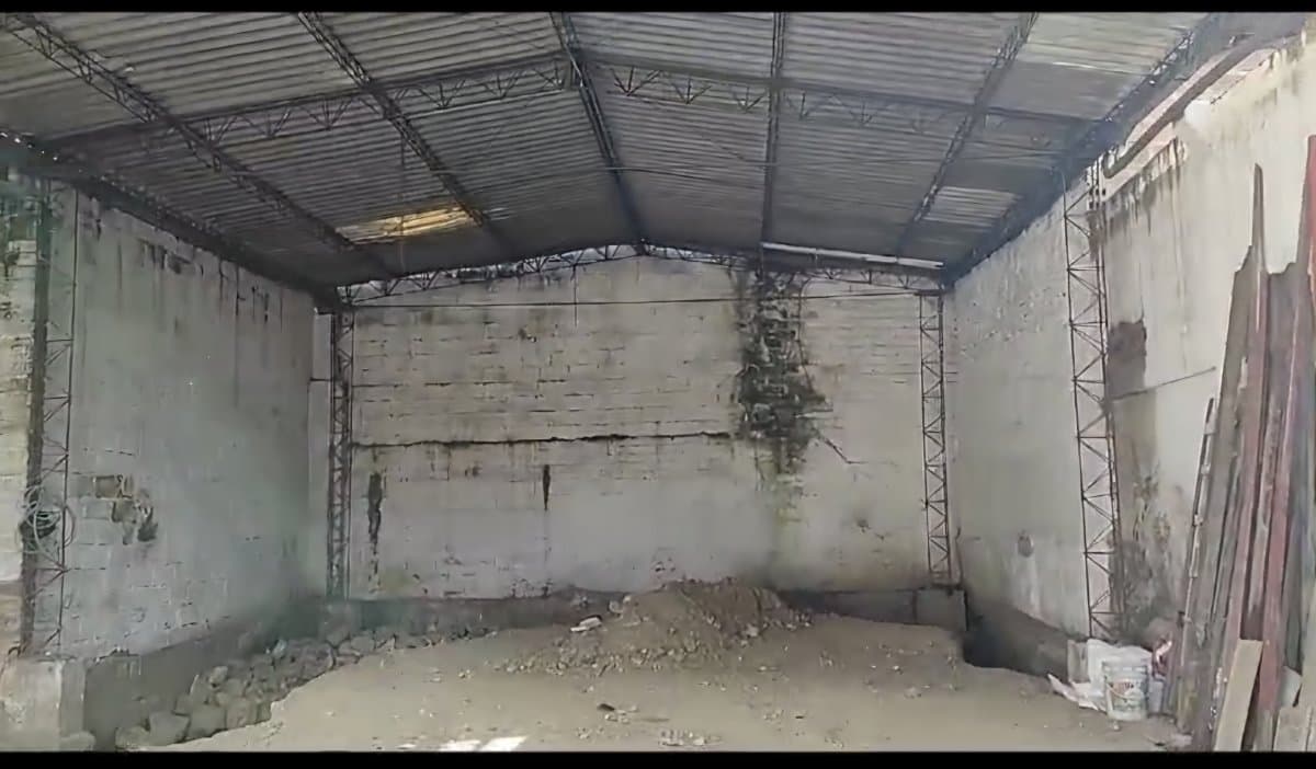 Bodega - Foto 2