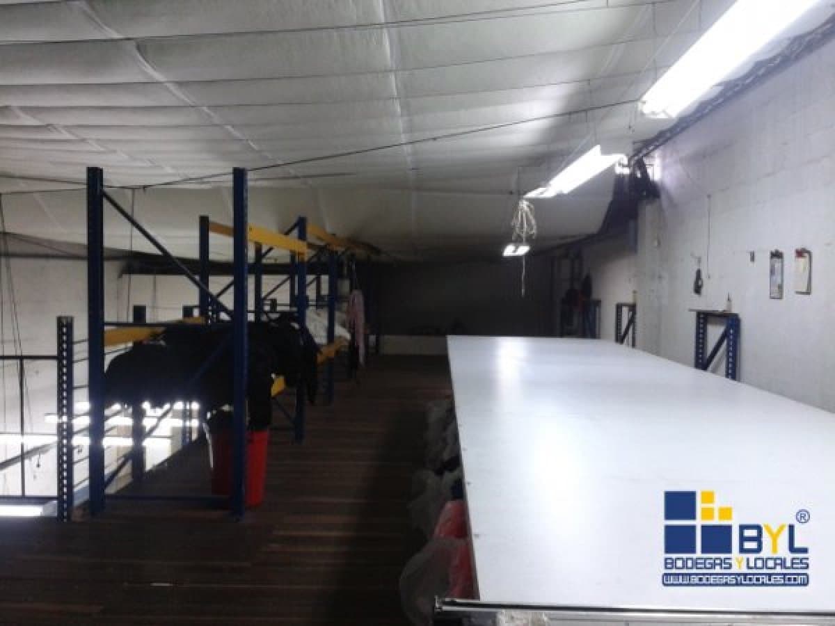 Bodega - Foto 13