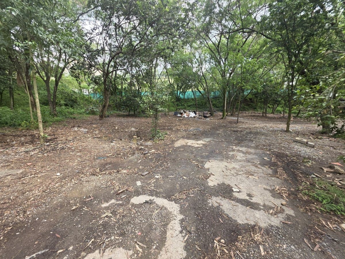 Lote - Foto 16