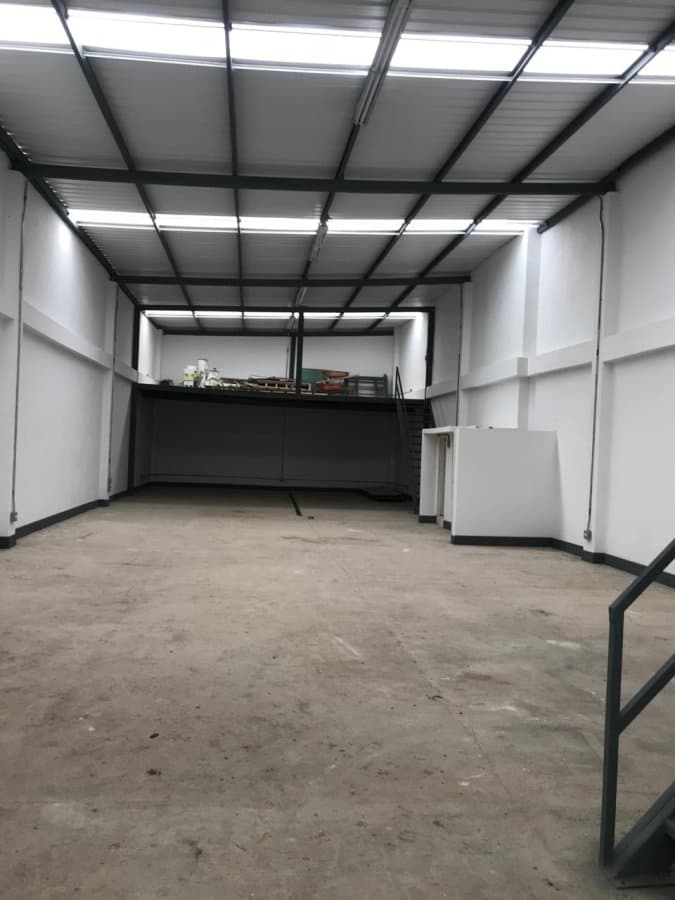 Bodega - Foto 3
