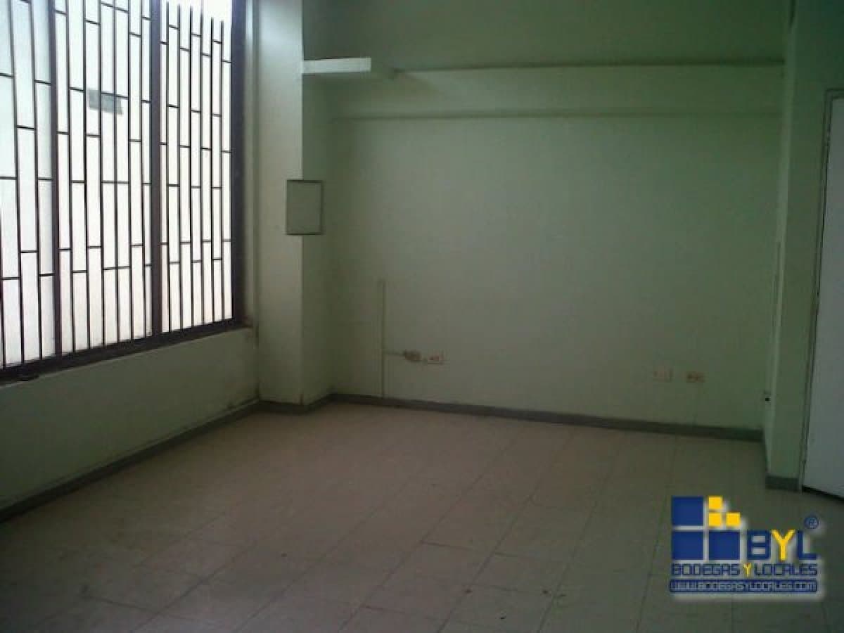 Bodega - Foto 5