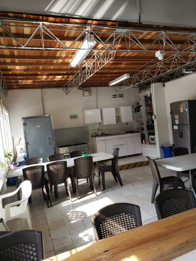 Bodega - Foto 5