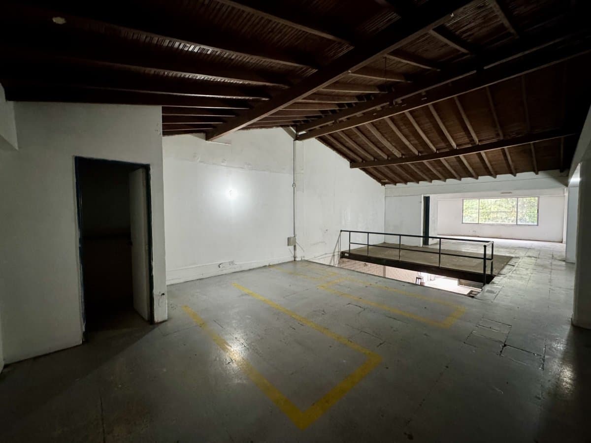 Bodega - Foto 6