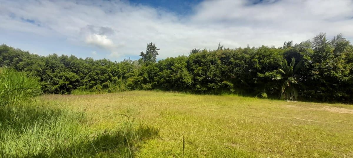 Lote - Foto 5