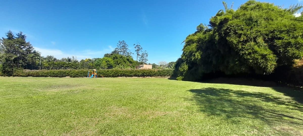 Lote - Foto 8