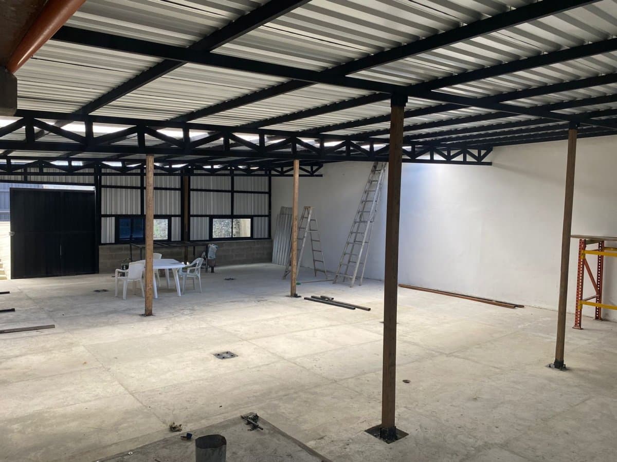 Bodega - Foto 3