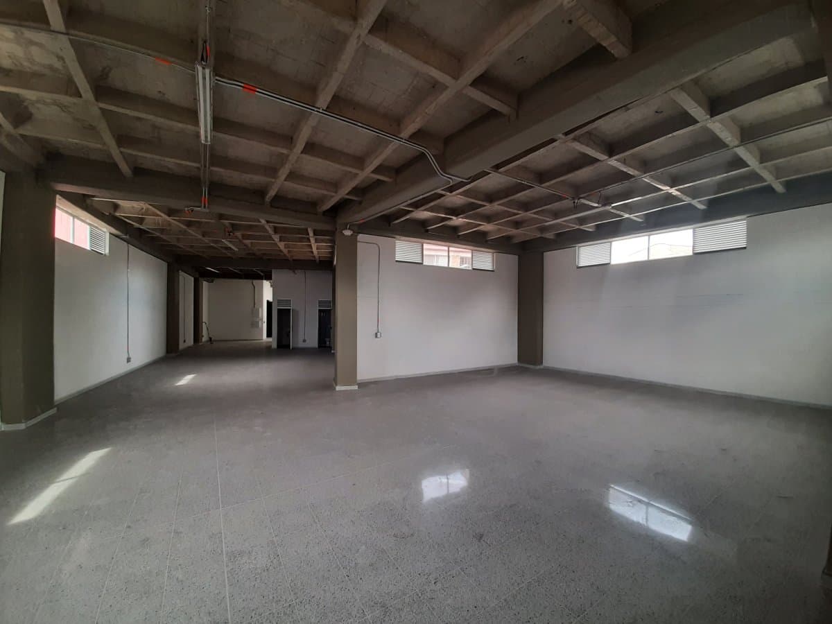 Bodega - Foto 3
