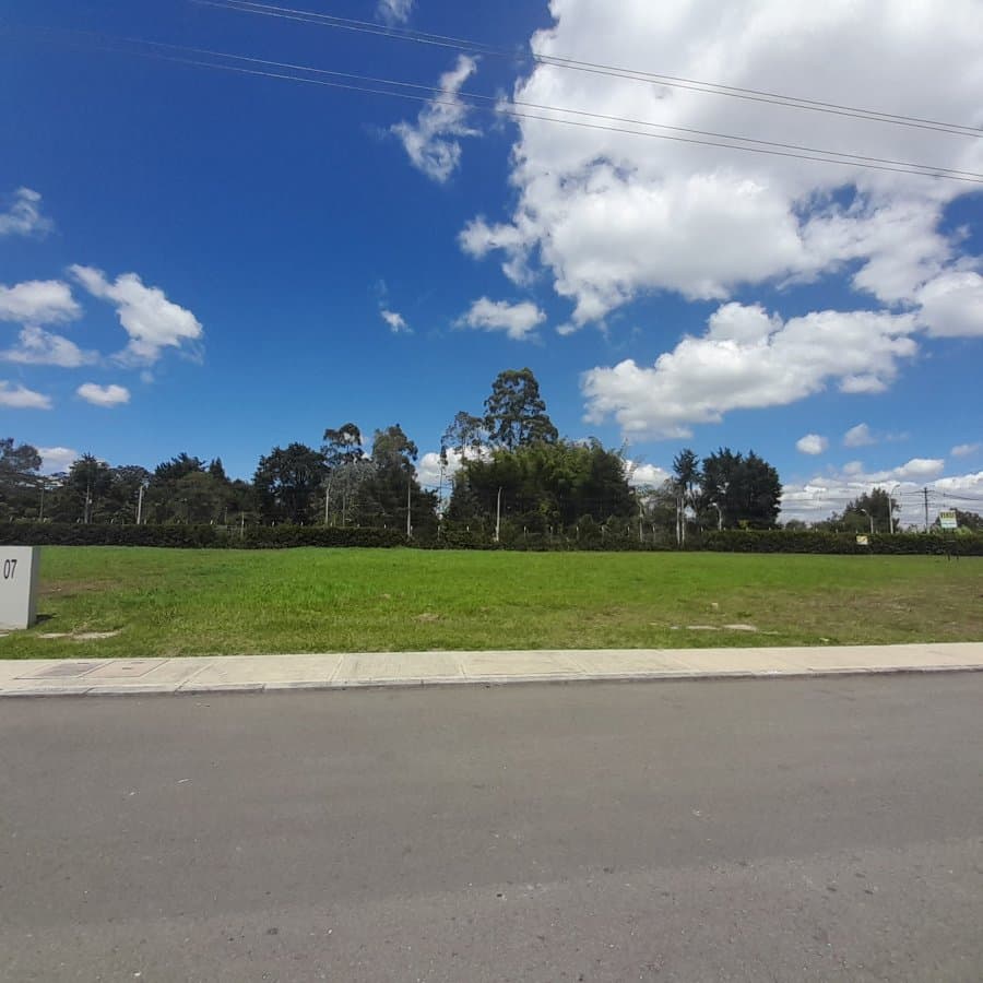 Lote - Foto 3