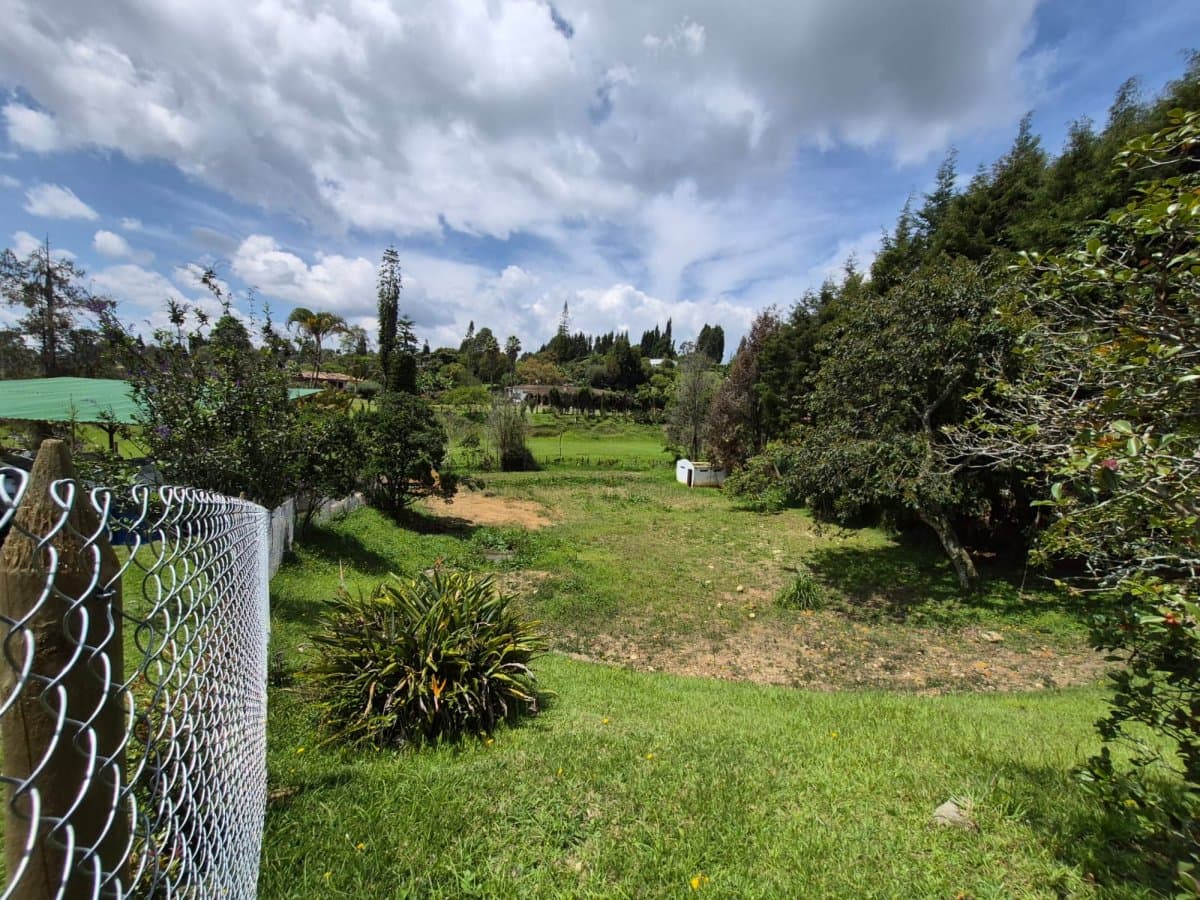 Lote - Foto 5