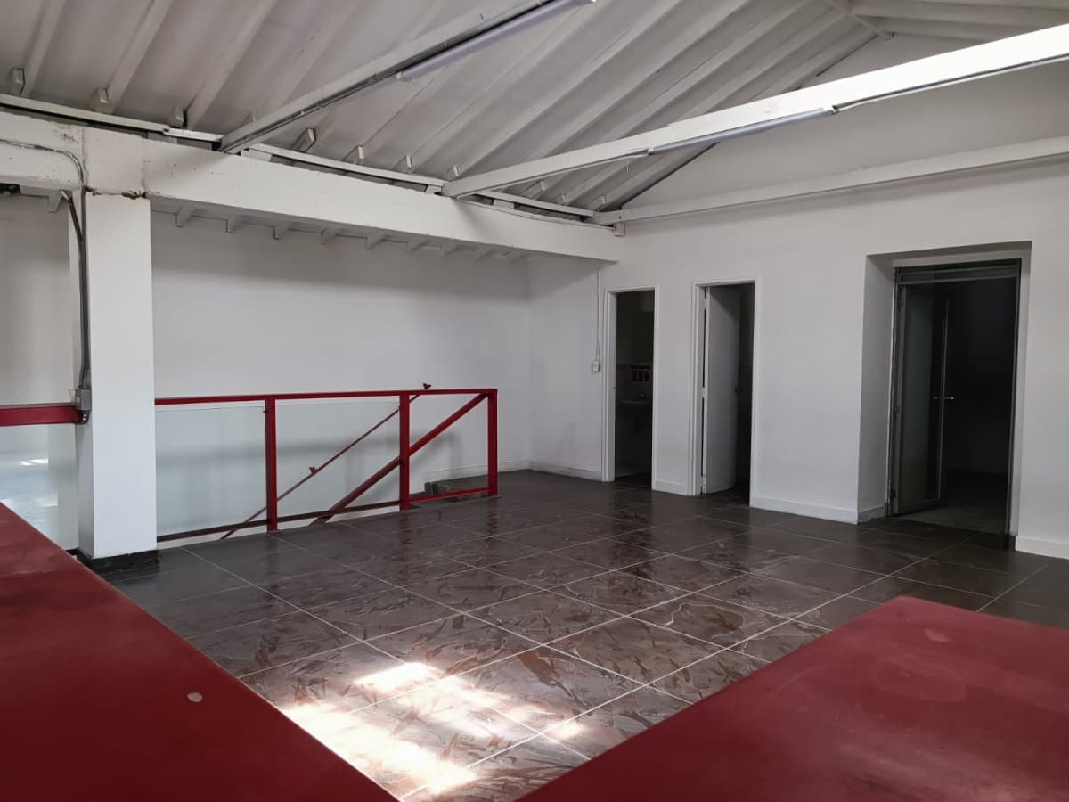 Bodega - Foto 6