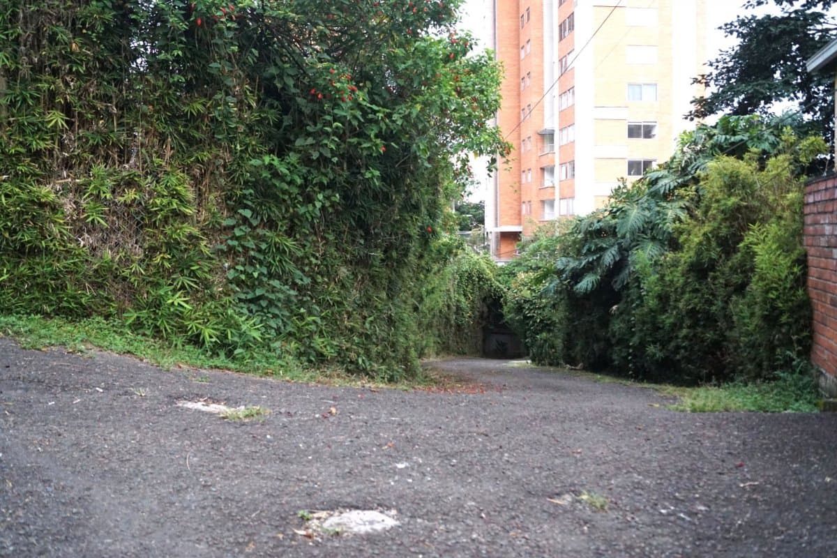 Lote - Foto 10