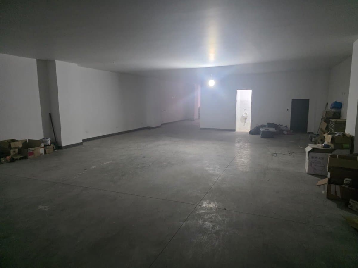 Bodega - Foto 6