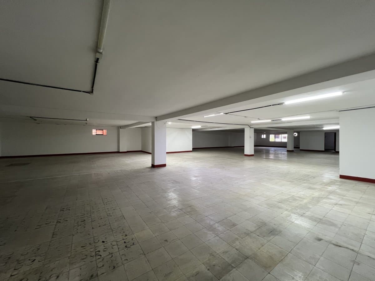 Bodega - Foto 11