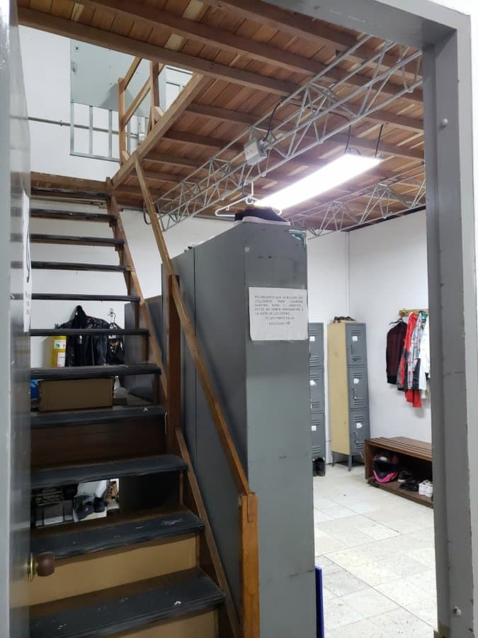 Bodega - Foto 6